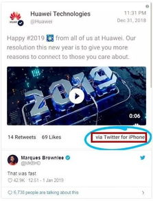 精准的市场定位与合理的预算分配