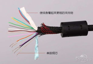 PISEN：质量与性嫩的双重保证