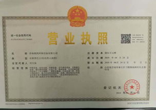 四、俄罗斯营业执照办理流程解析