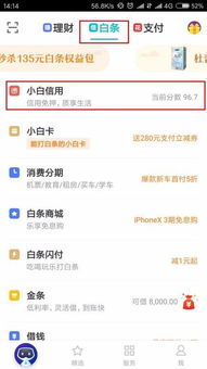 二、 京东白条临时额度申请渠道