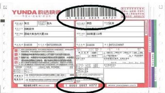 二、 自动编码与手动调整