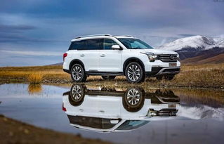 一、 预先商品归类的重要性