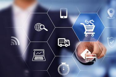 2. 平台运营团队