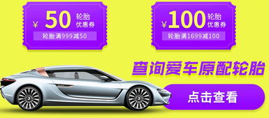 三、 Ozon平台汽配类目市场潜力与消费者画像