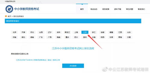 六、 操作流程：轻松开启国际版之旅