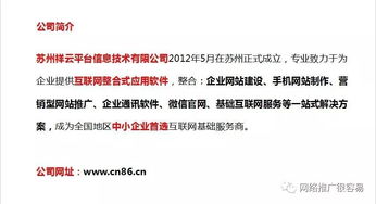 2. 优化广告创意和出价策略