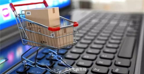 码头在跨境电商领域的崛起