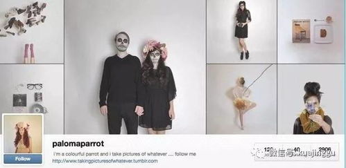 发布Stories：快节奏社交媒体时代的即时互动