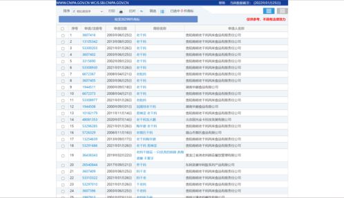 审查与公告：了解审查机制与公示期间