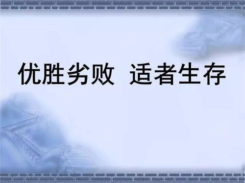 Shopee优惠券叠加使用规则概述