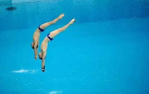 跳水奥运冠军退役后直播带货引发争议