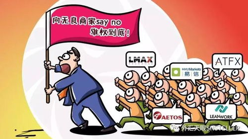 恶意抢注或其他侵权行为