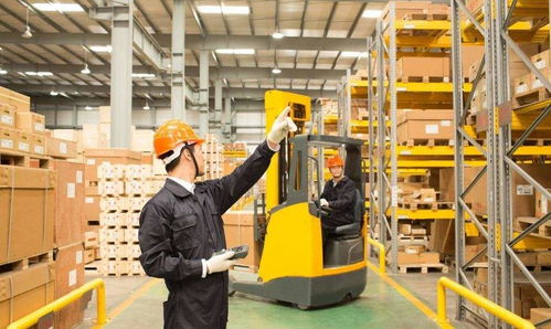 综合流程与数据管理