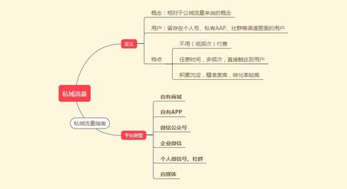 私域流量的概念及其重要性