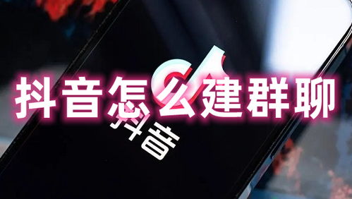 抖音群聊的管理与维护