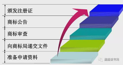 准备阶段：明确公司注册的基本要求与流程