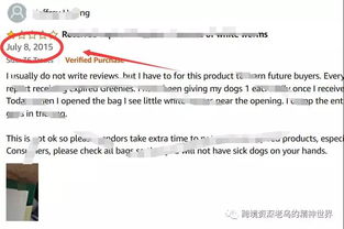 算法模型的设计思路