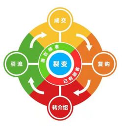 联盟营销：合作共赢， 快速扩大知名度和影响力