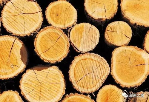 确保木材来源的可持续性和合法性