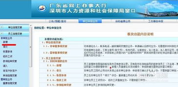 二、 代理服务收费标准的确定因素