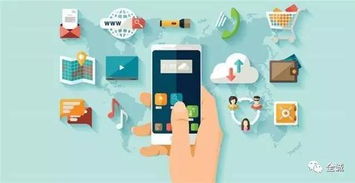 三、 卖家入驻必读