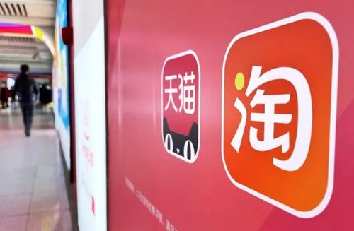 三、 活动报名注意事项