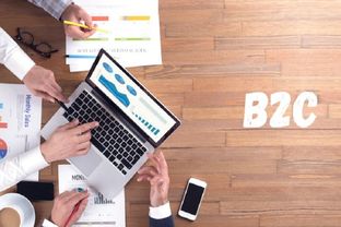 5. 竞争对手研究