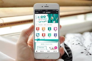 3. 定制开发费用