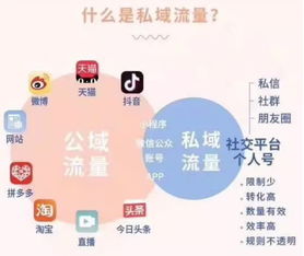 2. 搭建私域流量