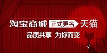 一、 主体不同：企业店铺与天猫店铺的定位与属性