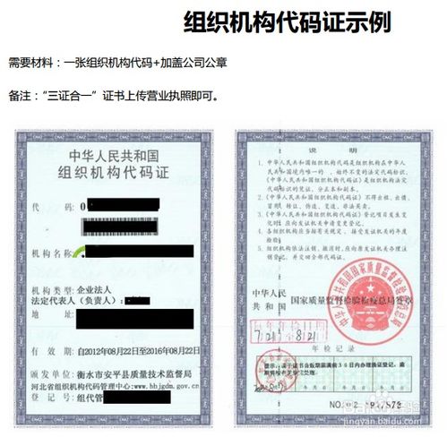 1. 基本资质要求