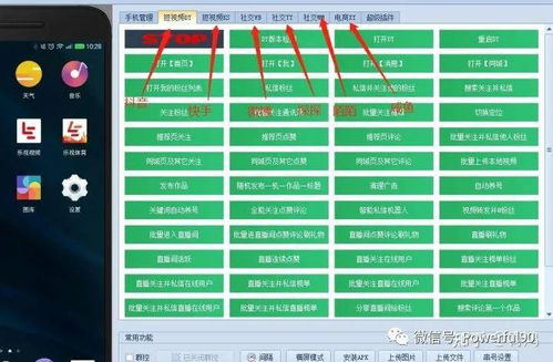 七、 了解平台算法，精准投放