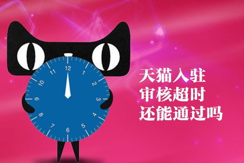 天猫入驻审核的基本流程与时间