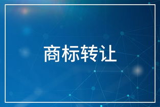 2. 准备申请材料