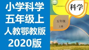 一、 拓展状语，丰富教学情境