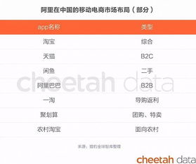 全球电商排行榜的解读