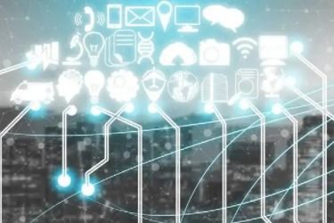 提升服务质量：构建顾客忠诚度