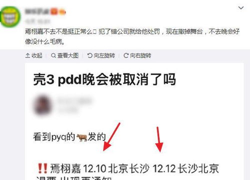 一、双12活动取消的原因解析