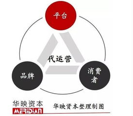 同过独立站运营模式和盈利途径的正面宣传， 充分展示产品或品牌的独特魅力和优势