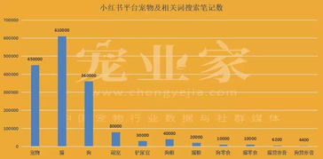 提高内容质量，加强专业知识学习