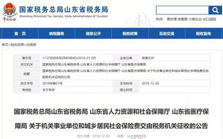 2. 税务申报与缴纳