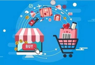 一、 电商时代的机遇与挑战