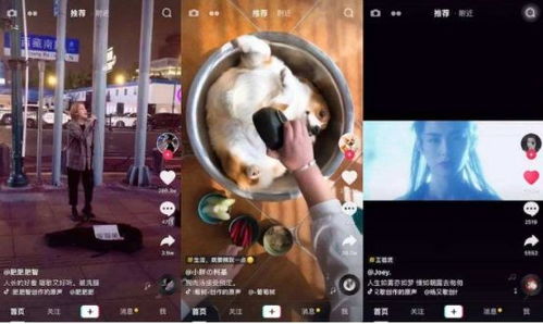 2. 商品包装设计