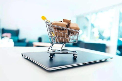 二、 市场调研的步骤