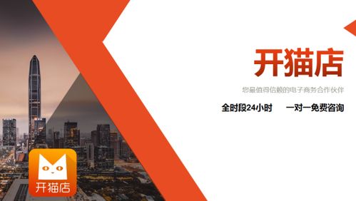 创业者入驻：开启电商新篇章