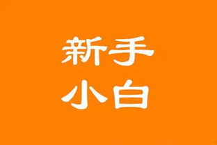 4. 产品质量和售后服务