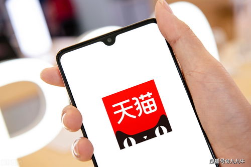 一、 天猫小黑盒报名概述