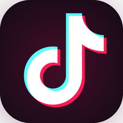 一、 抖音的创意与个性：个人作品的创作之道