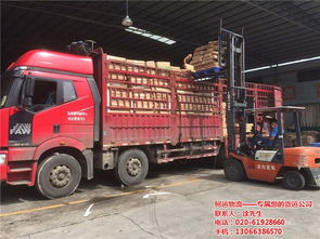 选择零担货运服务时的注意事项