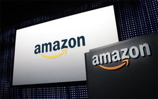 亚马逊物流并非单一快递公司